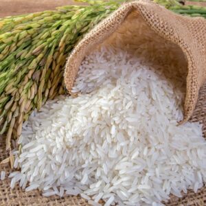 Wholesale Thai Hom Mali Rice