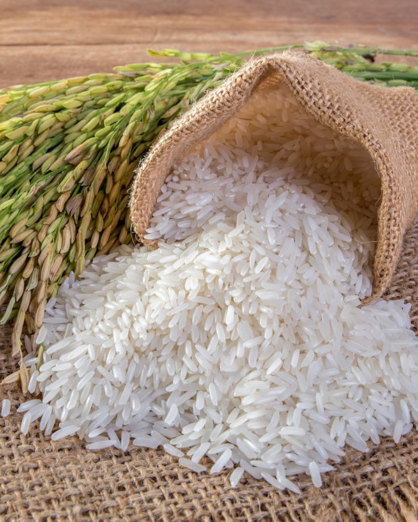 Wholesale Thai Hom Mali Rice Wholesale Thai Hom Mali Rice