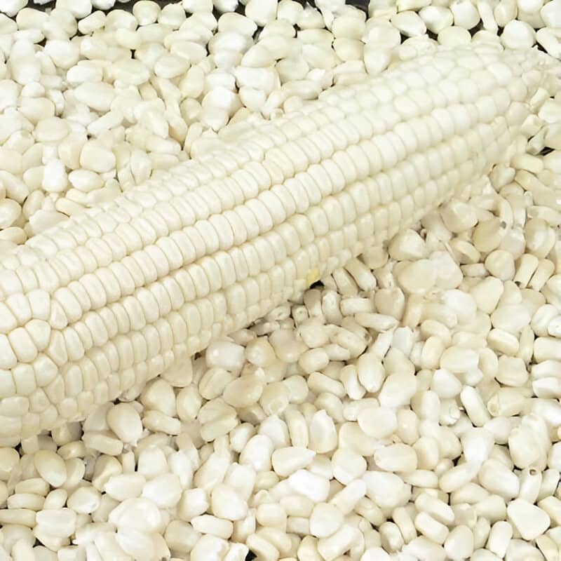 white corn